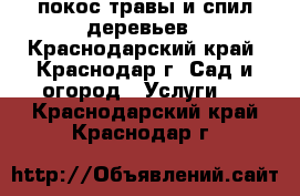 покос травы и спил деревьев - Краснодарский край, Краснодар г. Сад и огород » Услуги   . Краснодарский край,Краснодар г.